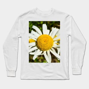 Daisy, Daisy Long Sleeve T-Shirt